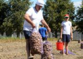 Позорище полное и американская схема: Лукашенко о дефиците картофеля в стране